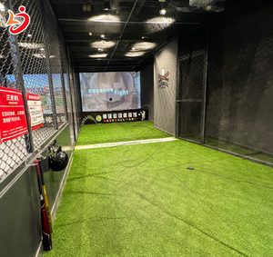 Baseball Simulator Entertainment Machine